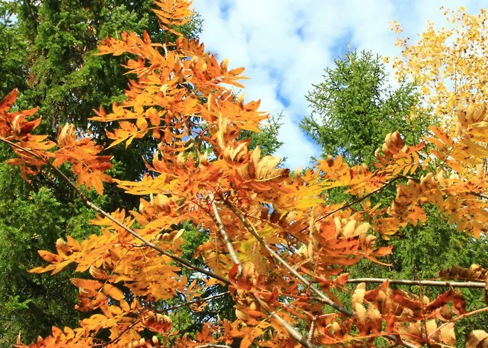 Дом отдыха Kieppi Сиоте